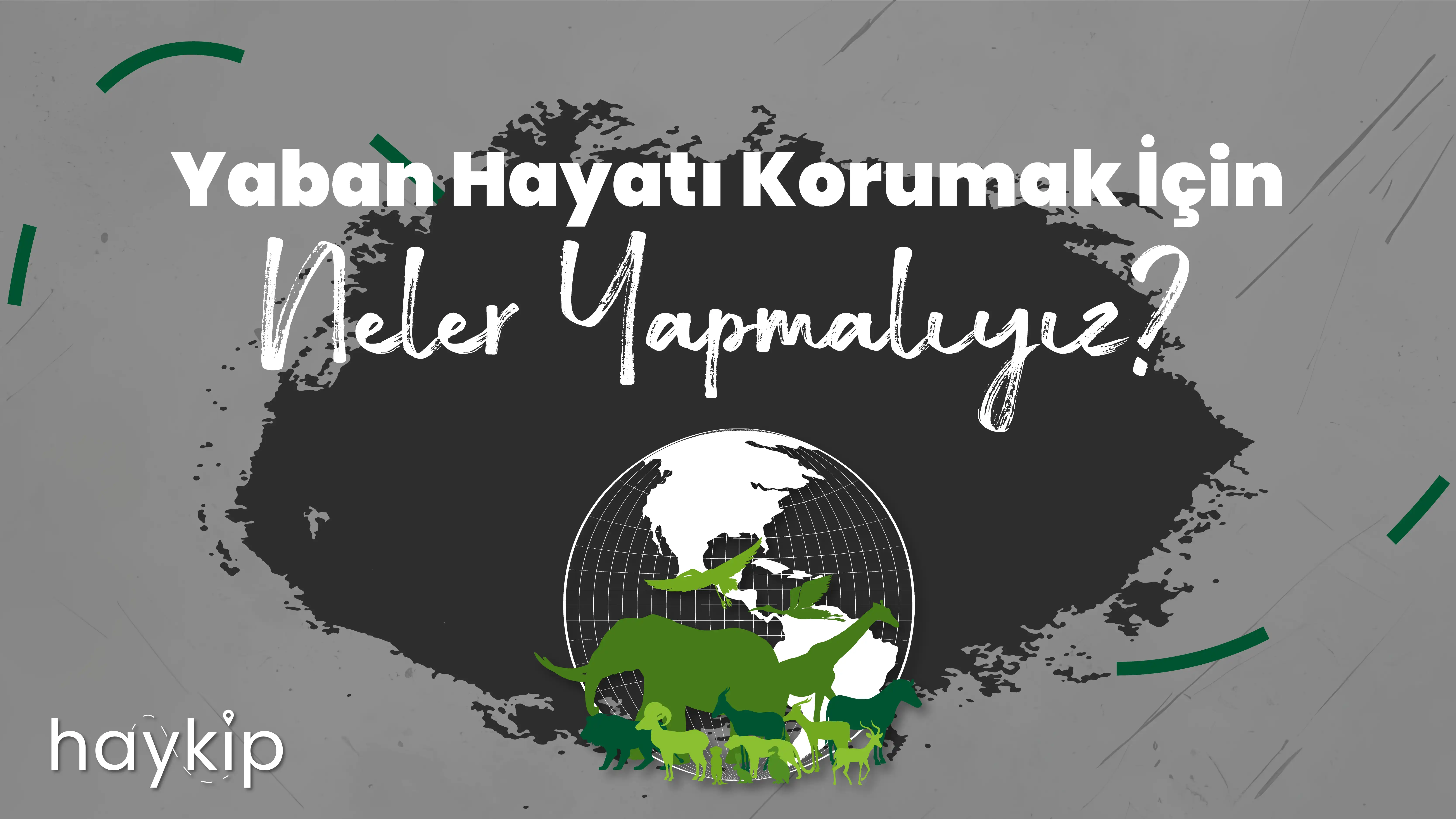 Yaban Hayatı Korumak için Neler Yapmalıyız?