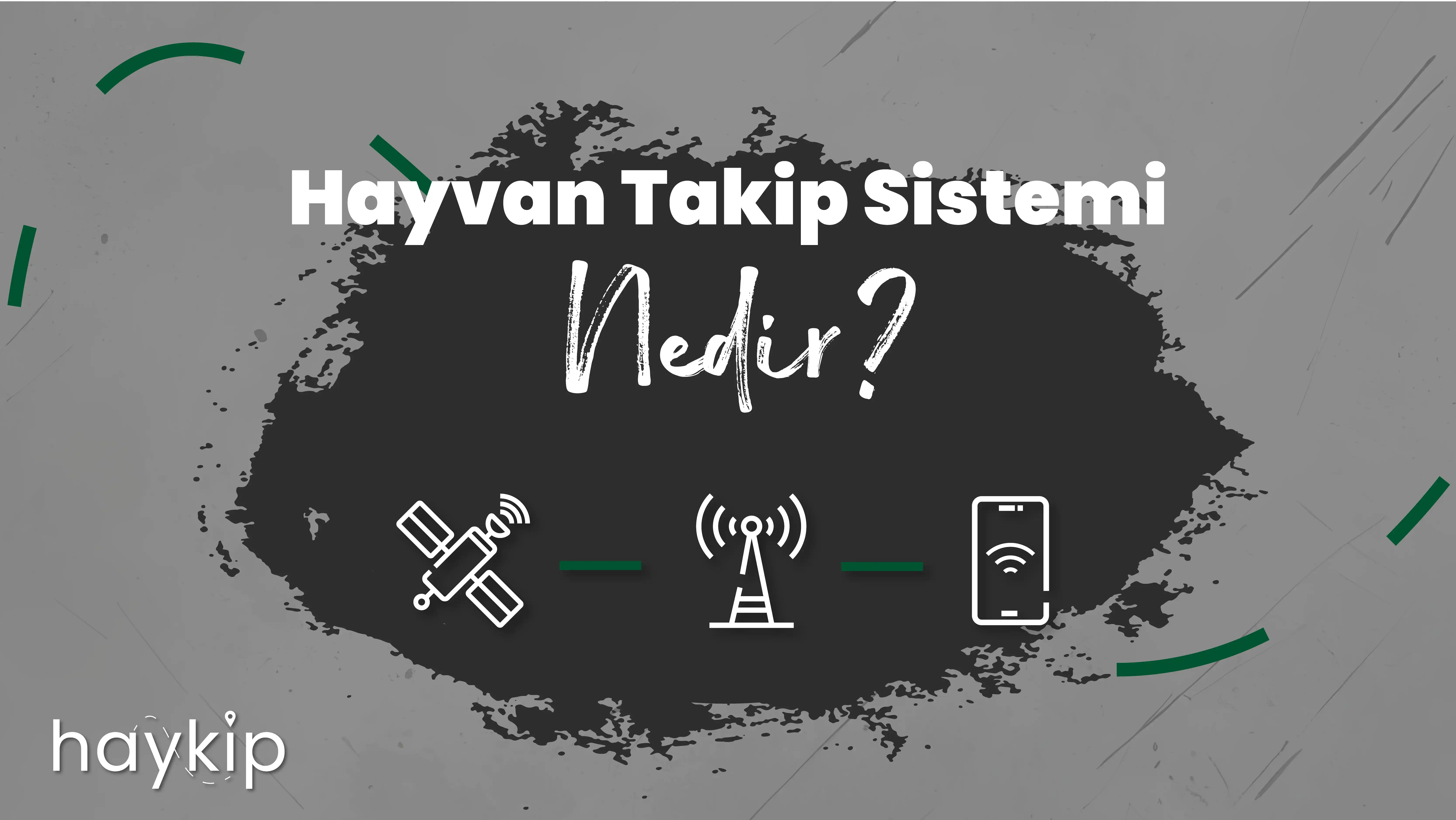 Hayvan Takip Sistemi Nedir?